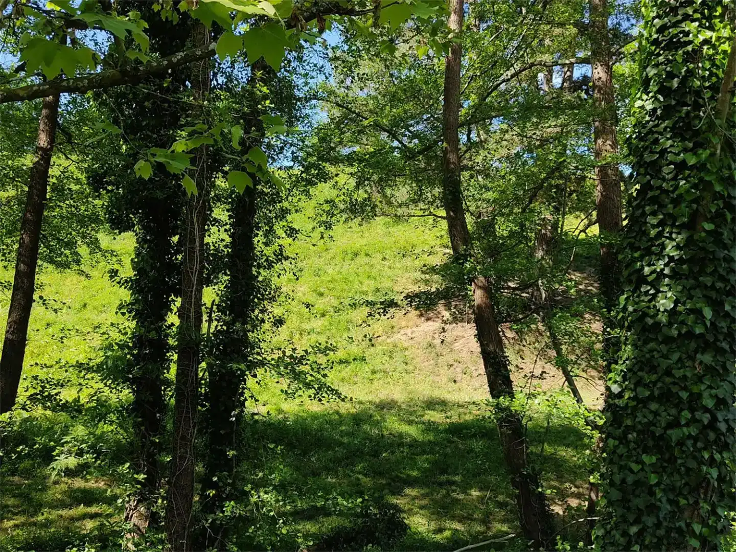 Grundstücke zum Verkauf in Idiazabal