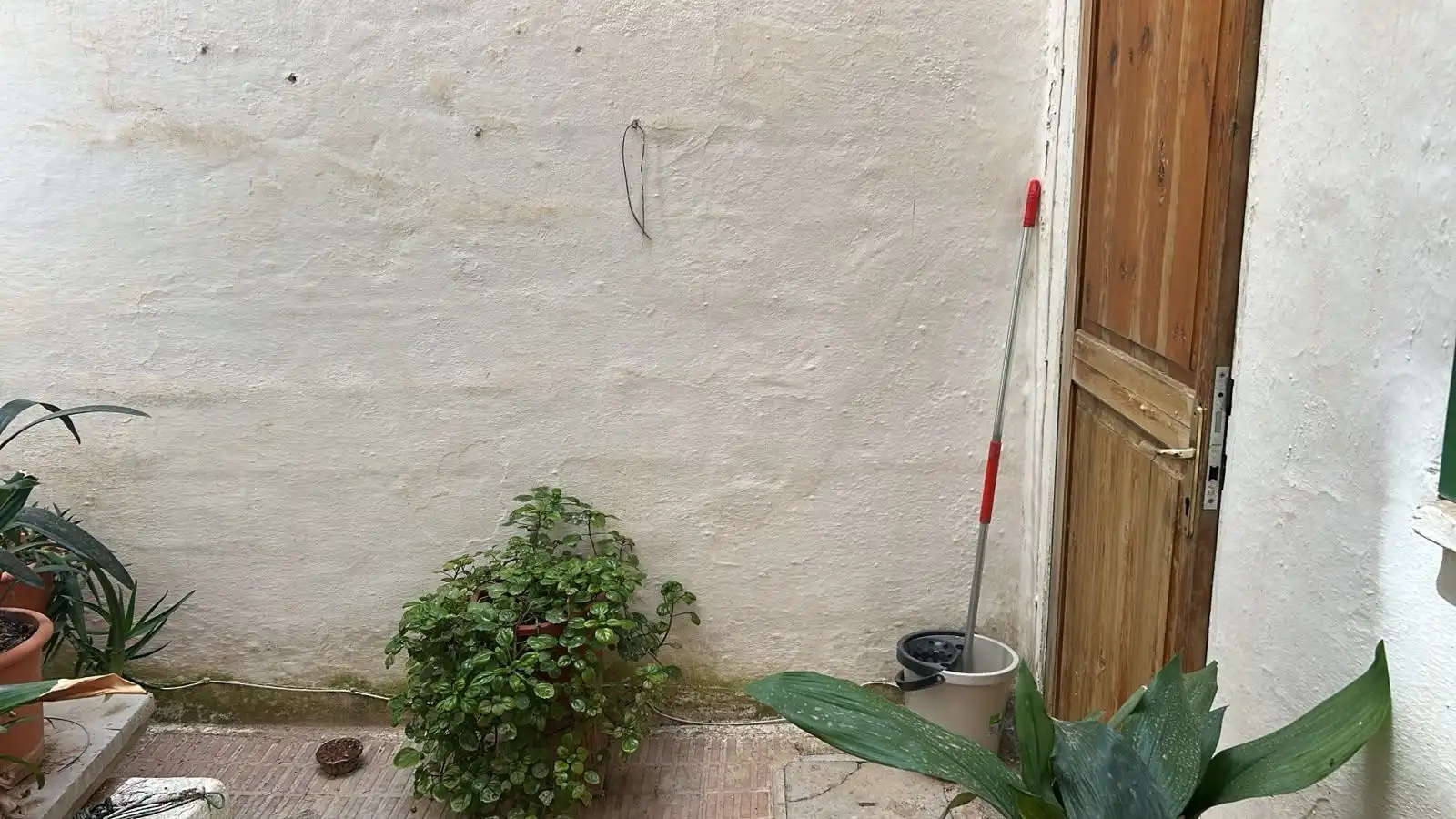 Garden of Flat for sale in Manacor