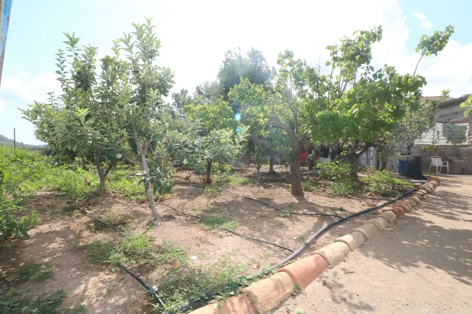 Finca rústica en venta en Gilet