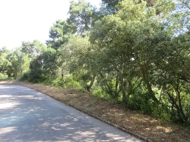 Wohnbaugrundstück zum Verkauf in Lloret Blau - La Creu de Lloret, imagen 3