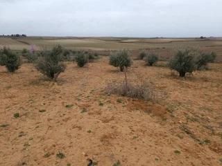 Residencial en venda en Horcajo de Santiago