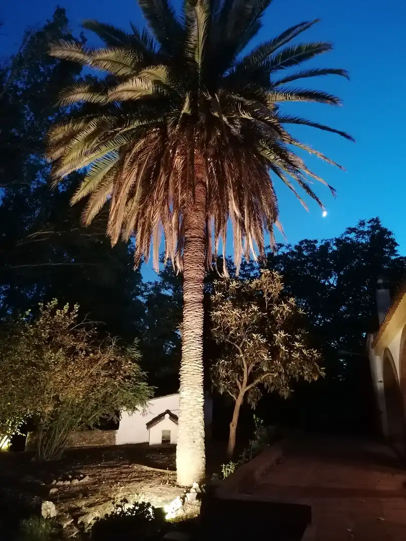 Casa rústica amb piscina en venda a Partidas Norte, imagen 11