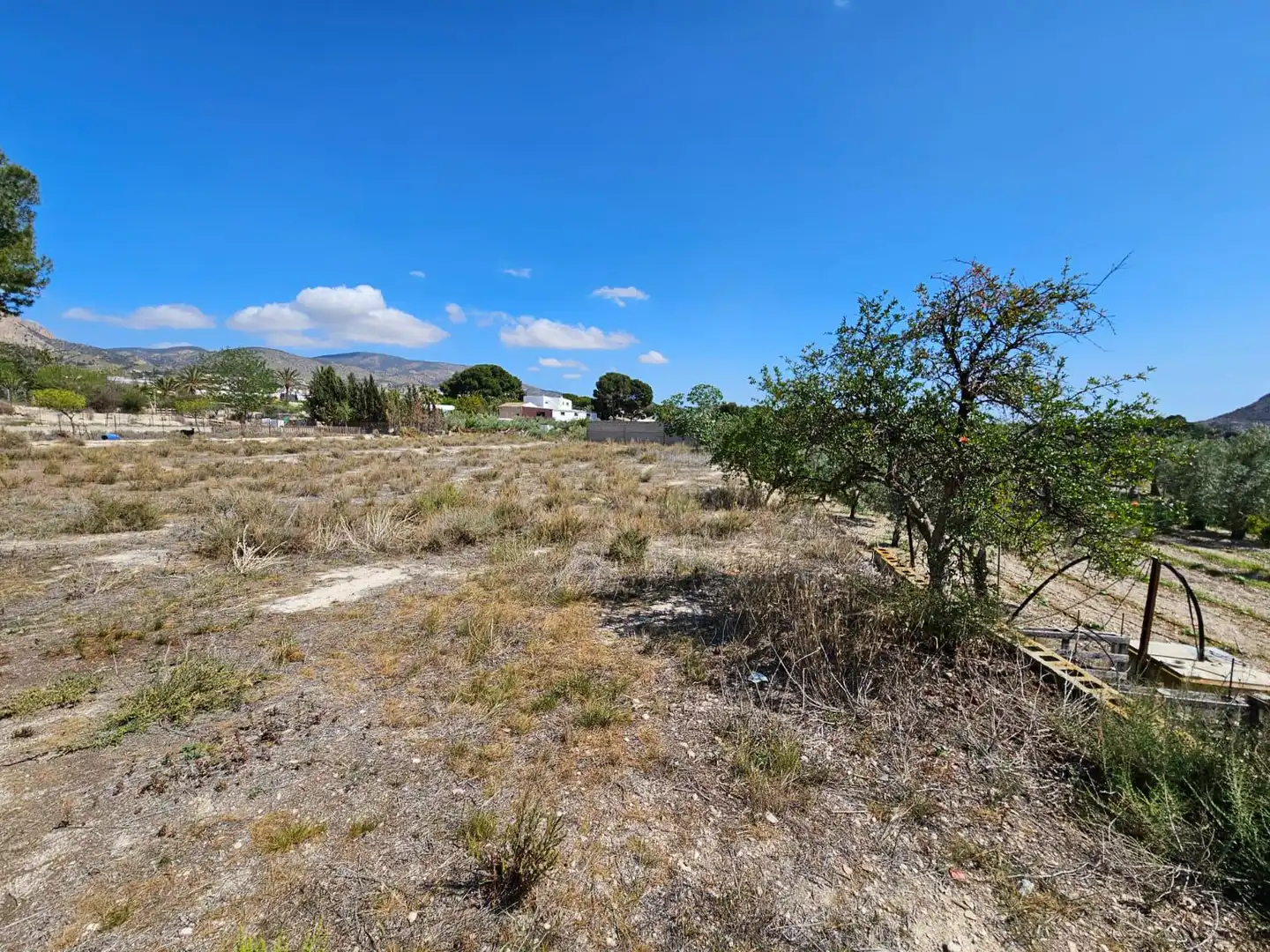 Country house for sale in Petrer, imagen 27