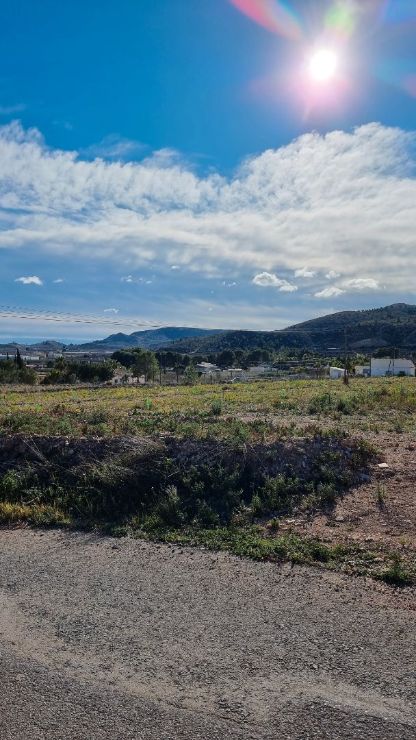Land for sale in Aspe