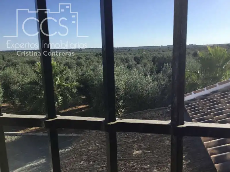Casa rústica amb piscina en venda a Pilas, imagen 76