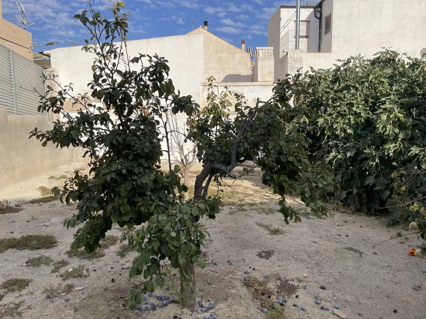 Terrenos y solares en venta en Filipon de Cope, imagen 5