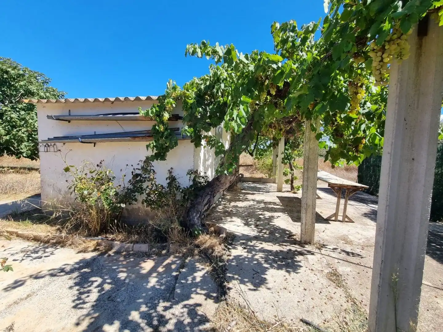 Lands and plots for sale in poligono 17 parcela 32, imagen 8
