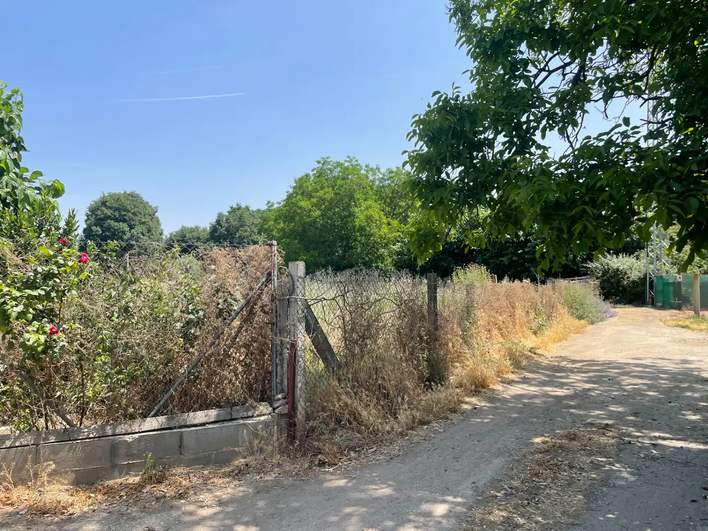 Rural land for sale in Balaguer, imagen 6