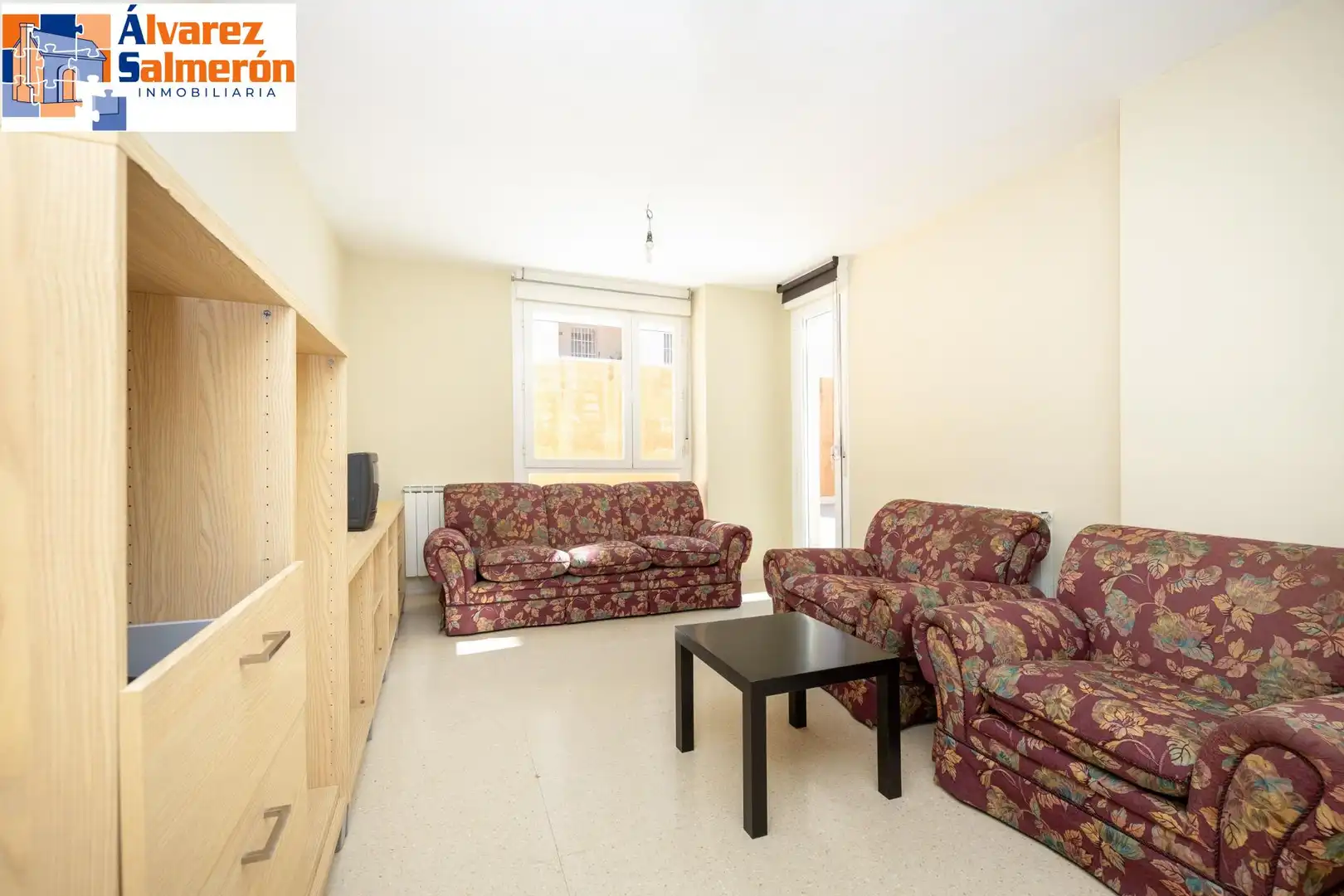 Living room of Flat for sale in Granada