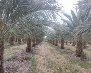 Finca rústica en venda en Albatera amb Piscina