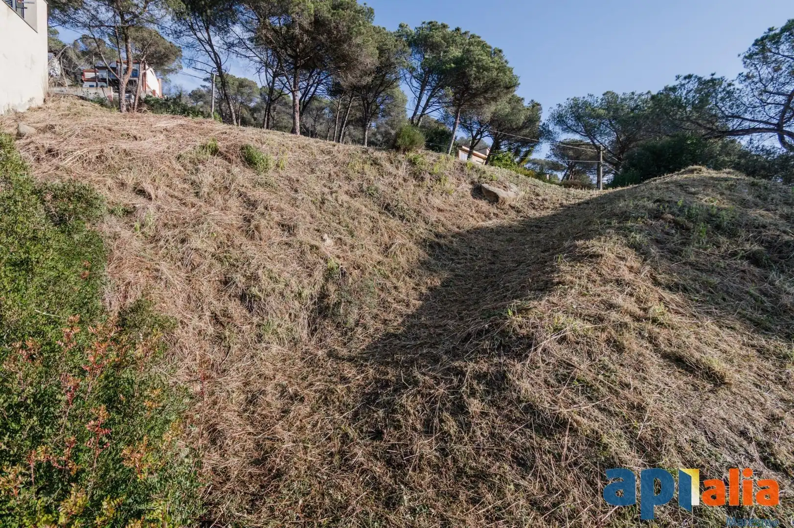 Terreno residenziale in vendita a Dosrius poble, imagen 8
