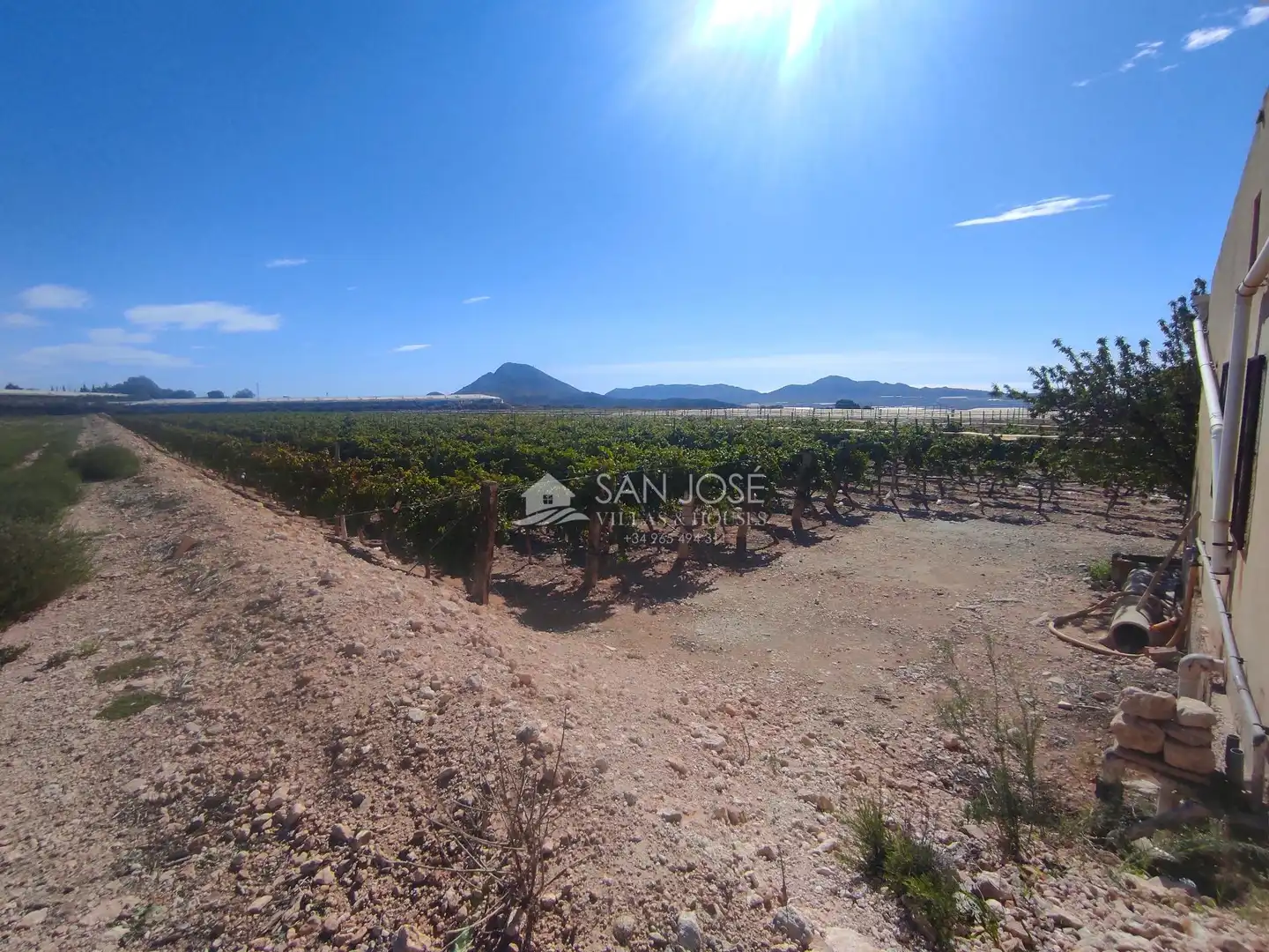 Finca rústica en venda en Monforte del Cid