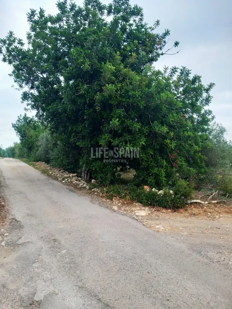 Terreno rústico en venta en Grau - Quintanes, imagen 5