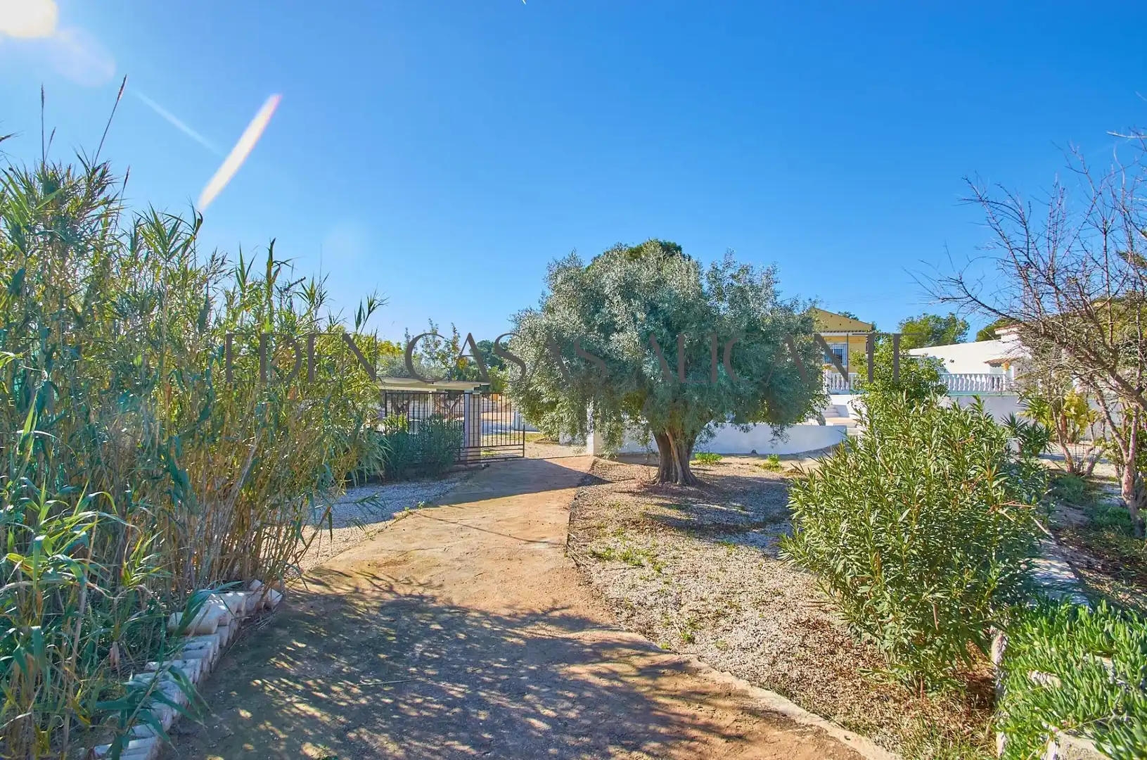 Vista exterior de Casa o xalet en venda en Alicante / Alacant amb Aire condicionat, Jardí privat i Terrassa