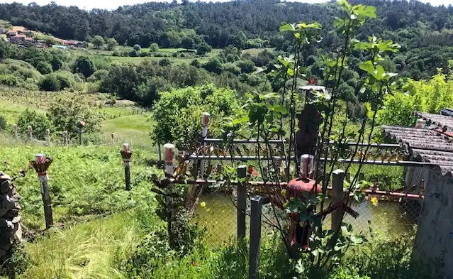 Jardín de Casa o chalet en venta en San Amaro