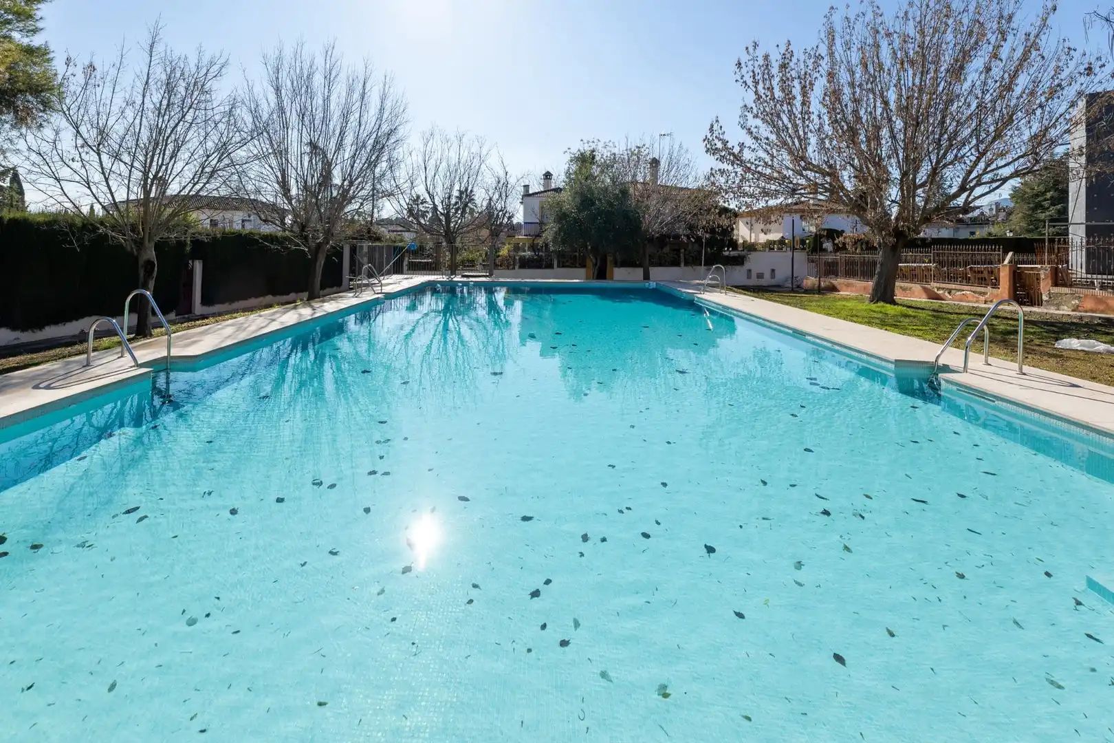 Swimming pool of Houses for sale in Albolote  with Private garden, Terrace and Storage room