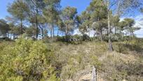 Residential for sale in El Catllar 