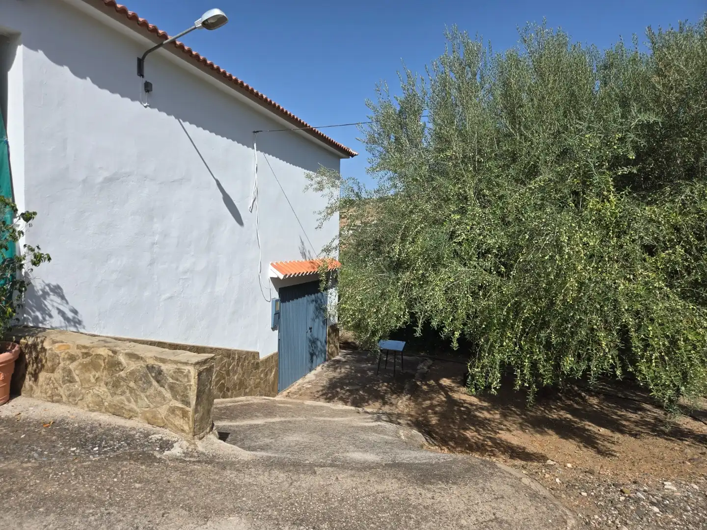 Casa amb jardí en venda a Camino de Alcaucin 111, imagen 5