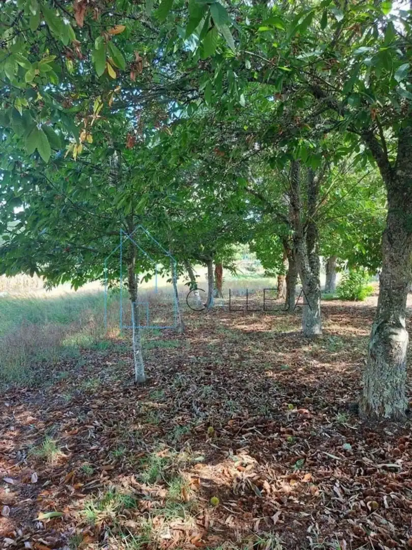Villa à vendre à Lugar Loureiro 77, imagen 10