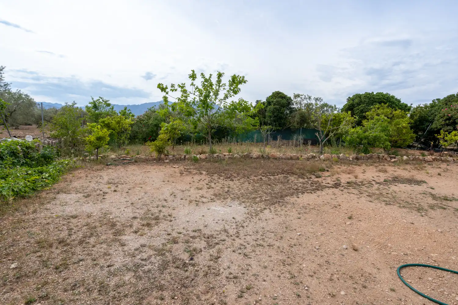 Rural land for sale in Camí Sant Francesc 10, imagen 17