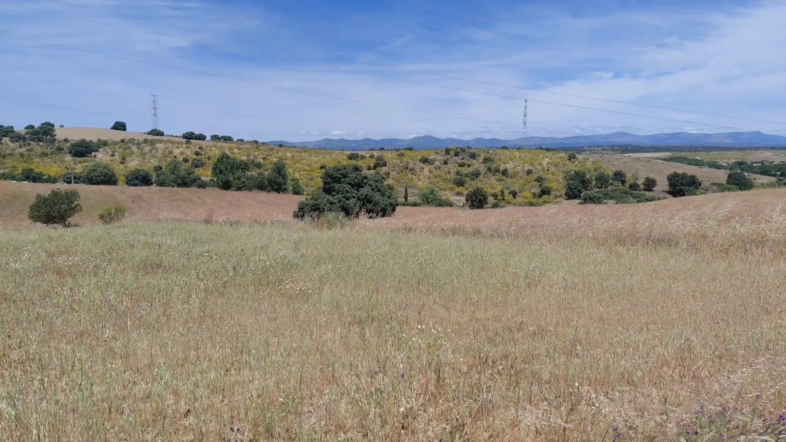 Rural land for sale in Villamanta
