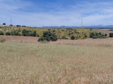 Terreno rústico en venta en Villamanta