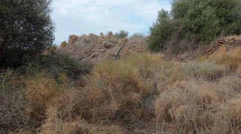 Foto 5 de Finca rústica en venta en Diseminado el Pago Rio, 1165, Torrox Pueblo, Torrox
