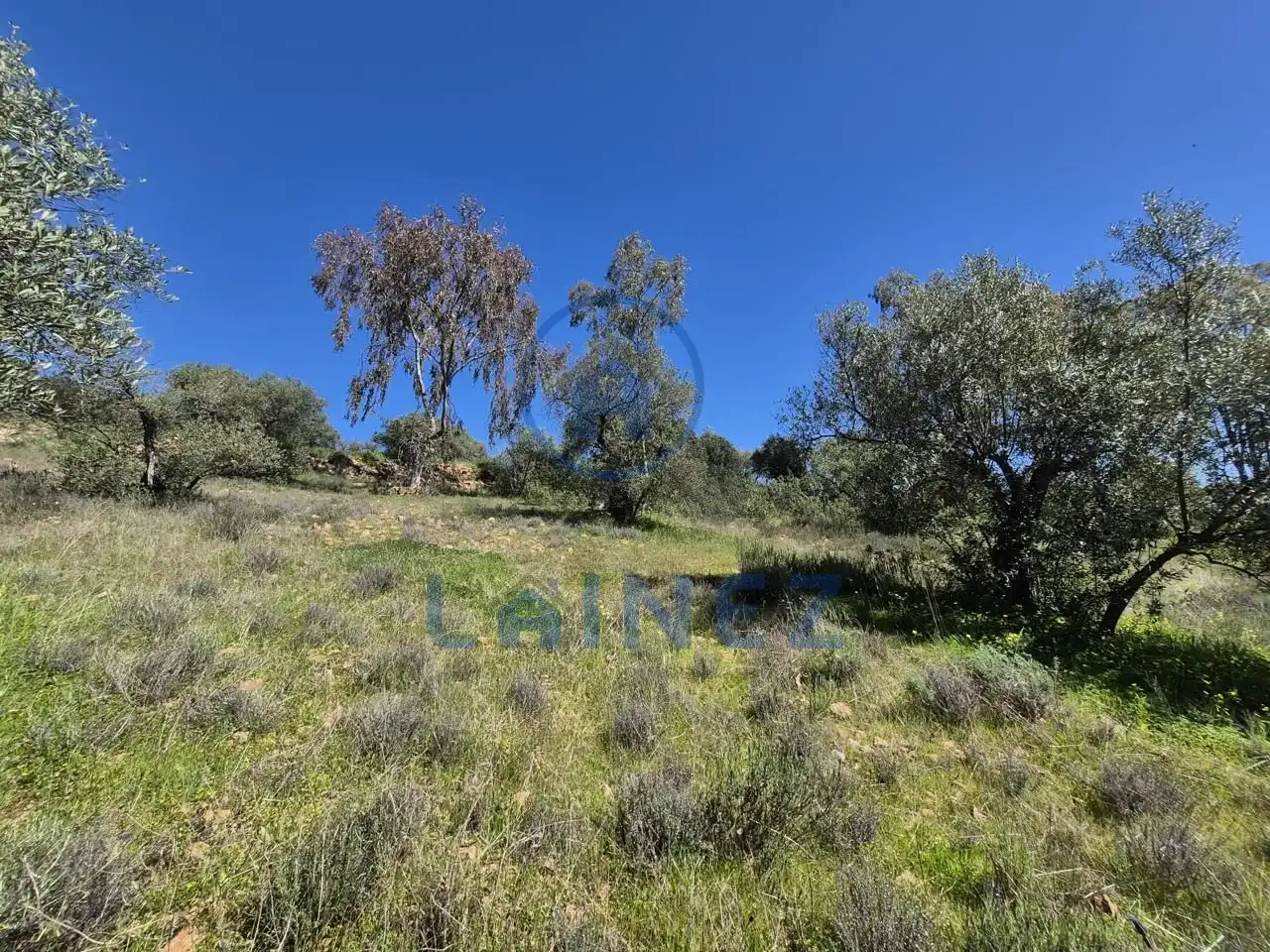 Grundstücke zum Verkauf in Peñarroya-Pueblonuevo