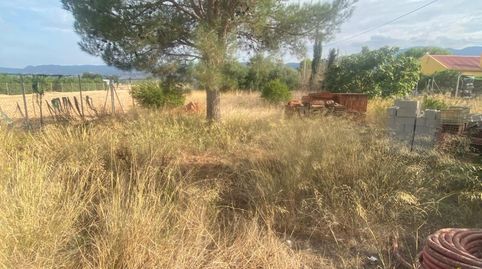 Foto 5 de Finca rústica en venda a Camino Clarisas, Sangonera la Seca, Murcia Capital