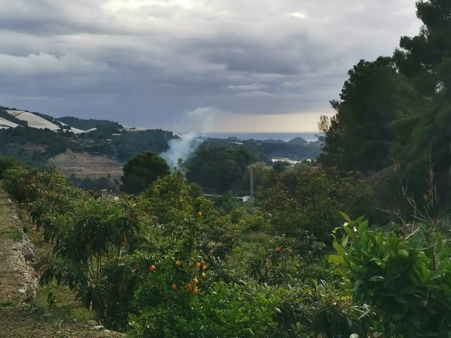Rural land for sale in CV-755 45, imagen 2