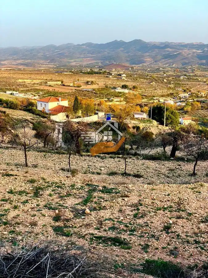 Lands and plots for sale in Vélez-Rubio, imagen 2