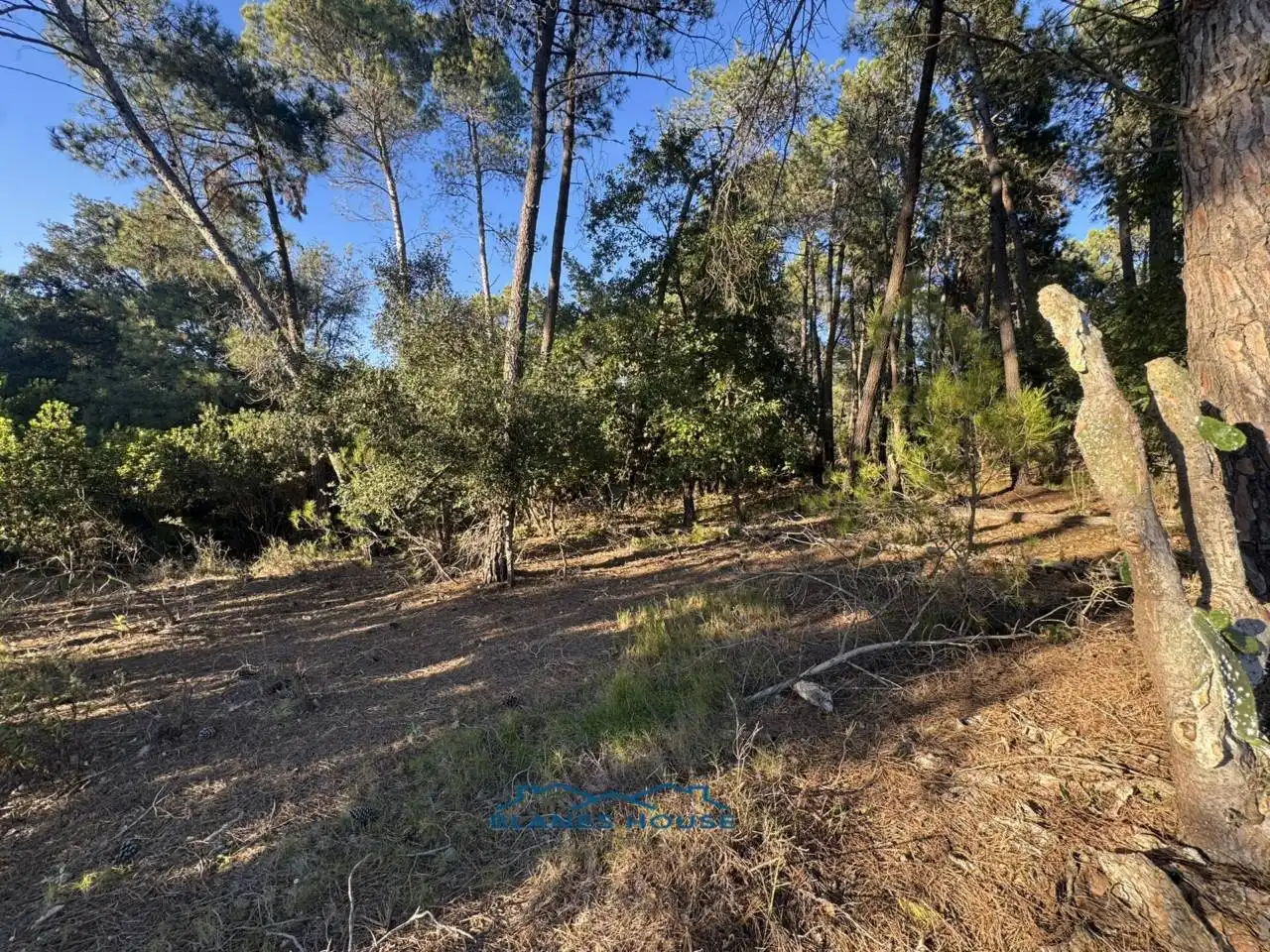Finca rústica en venda en Tordera amb Jardí privat