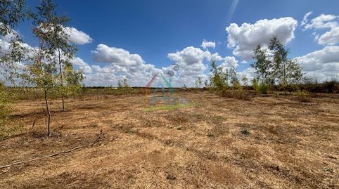Foto 4 de Finca rústica en venta en Almonte ciudad, Almonte