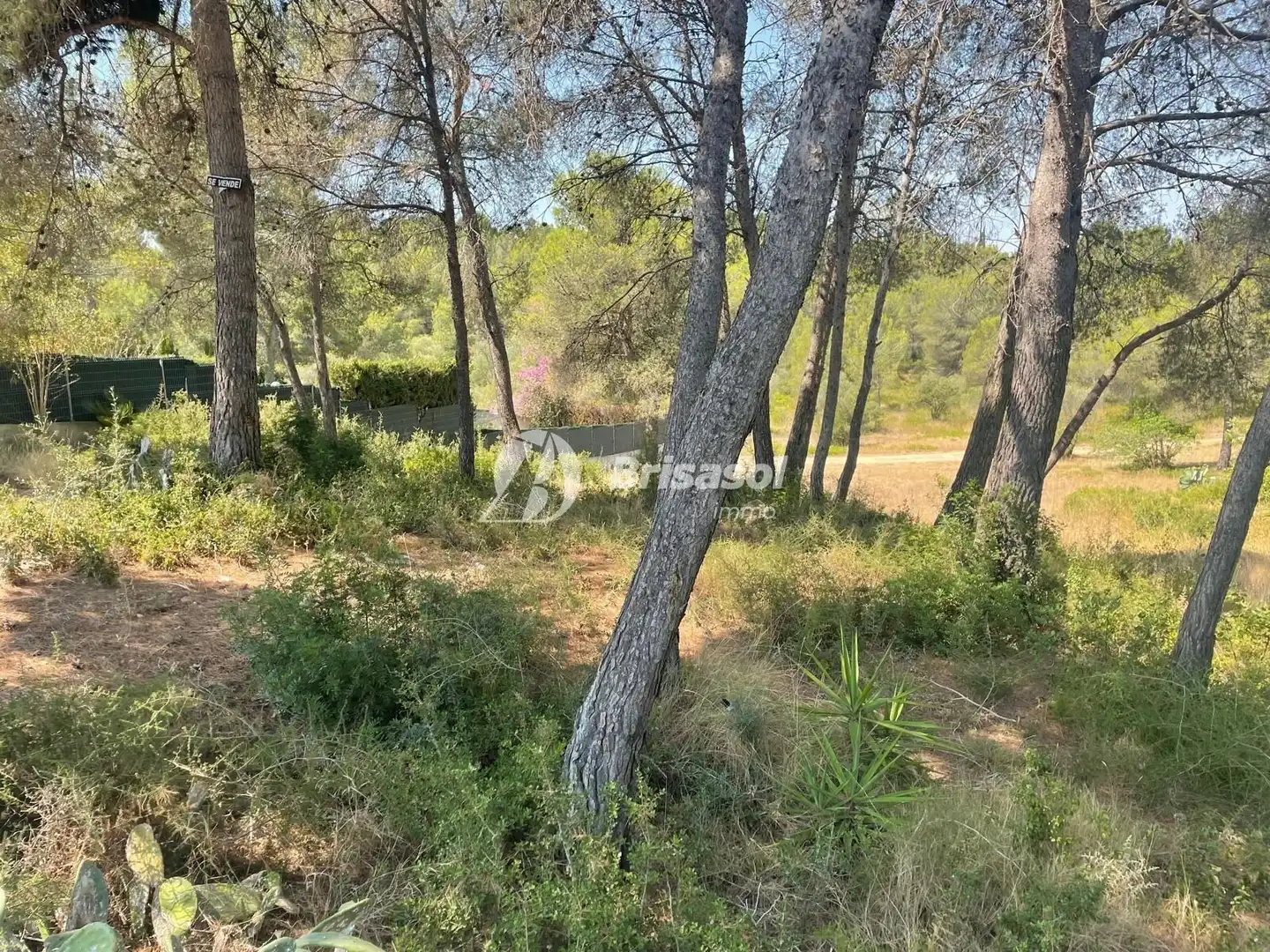 Terrenys i solars en venda a El Catllar, imagen 2