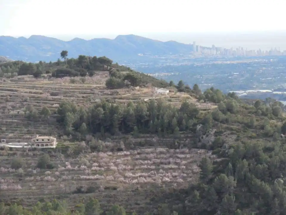 Country homes for sale in Tàrbena