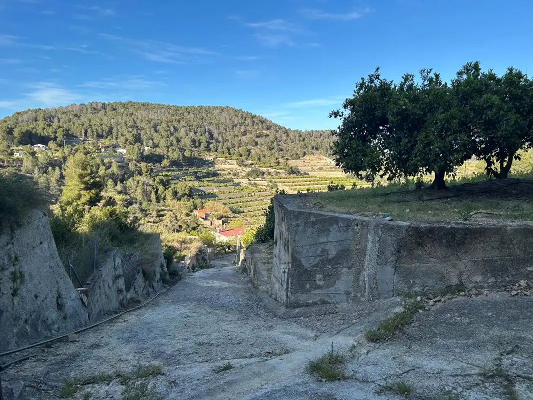 Vista exterior de Finca rústica en venda en Oliva amb Moblat