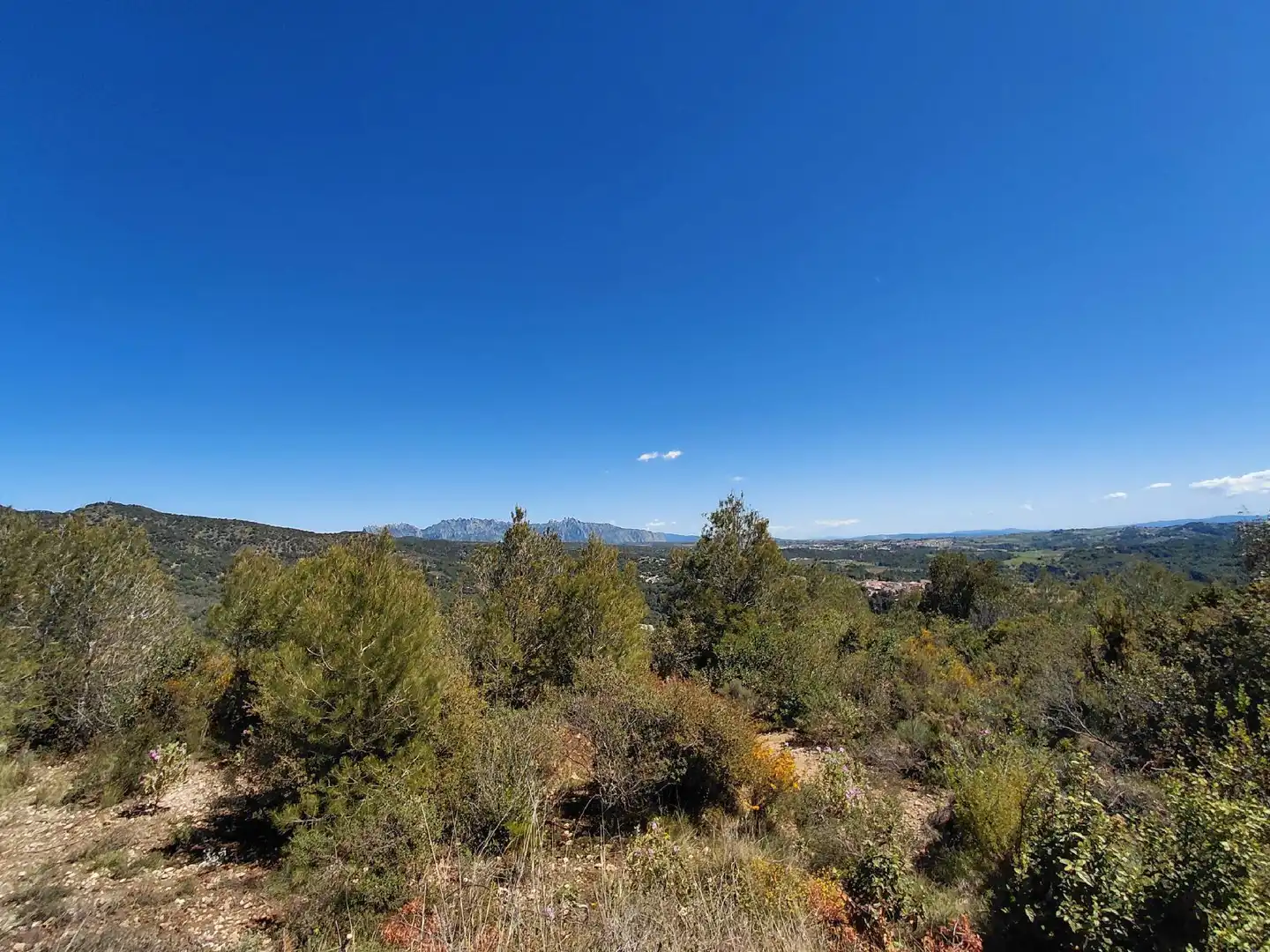 Casa o xalet en venda en Cabrera d'Anoia amb Jardí privat i Terrassa