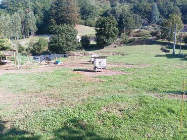 Rural land for sale in San Juán de Raicedo - SAN JUAN DE RAICEDO 2