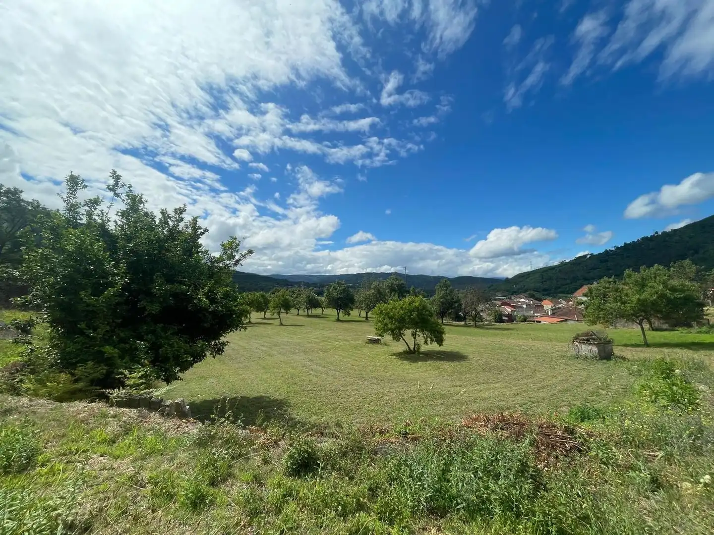 Land for sale in Ribadavia