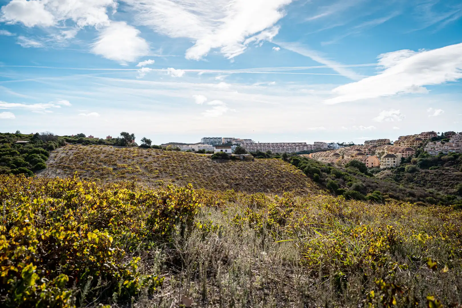 Finca rústica en venda a Manilva Pueblo