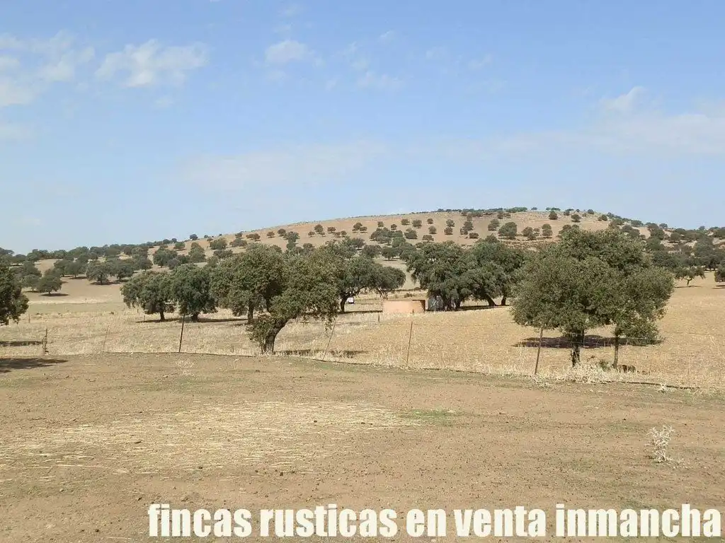 Terreni e lotti in vendita a Peñalsordo, imagen 4