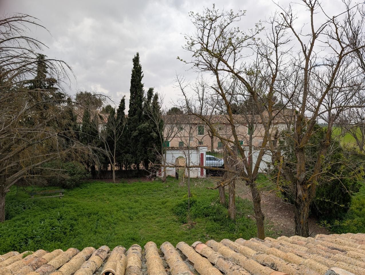 Finca rústica en venda en Pozorrubio amb Jardí privat, Piscina i Sauna