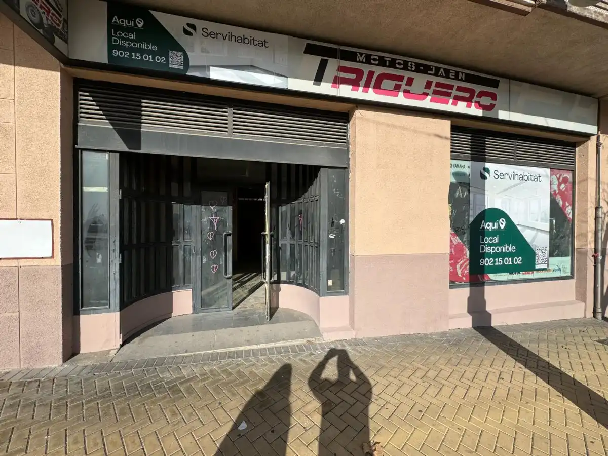 Local comercial en venta en DE MADRID 1, imagen 3