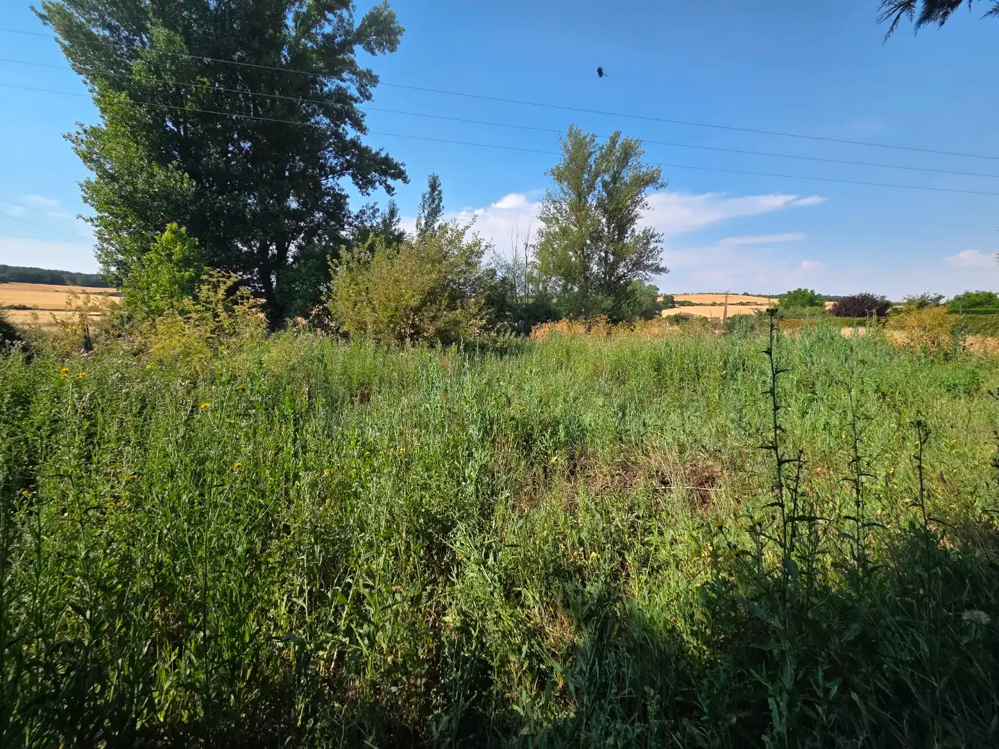 Terreno en venta en Orbaneja Riopico