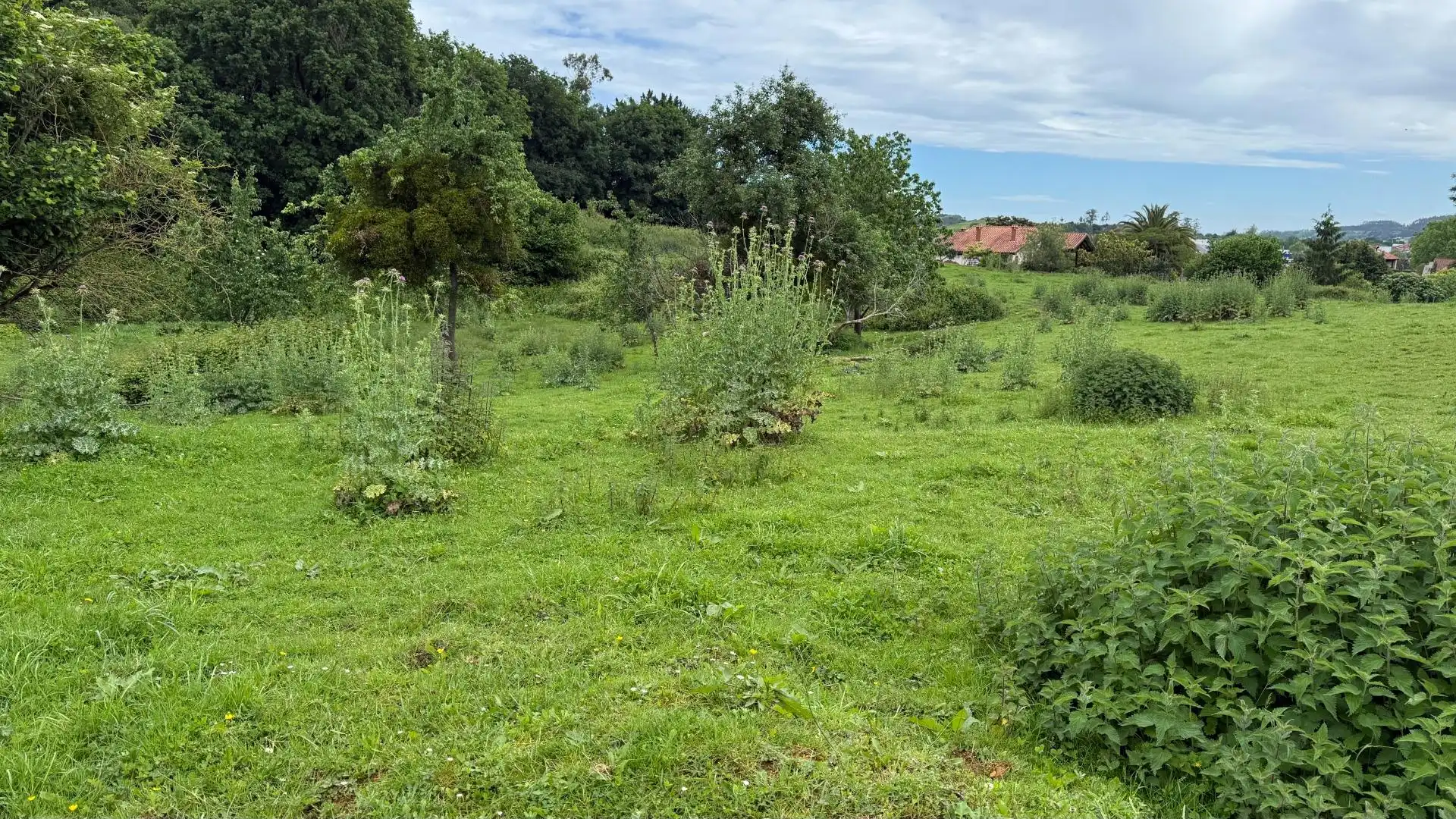 Residencial en venta en Reocín