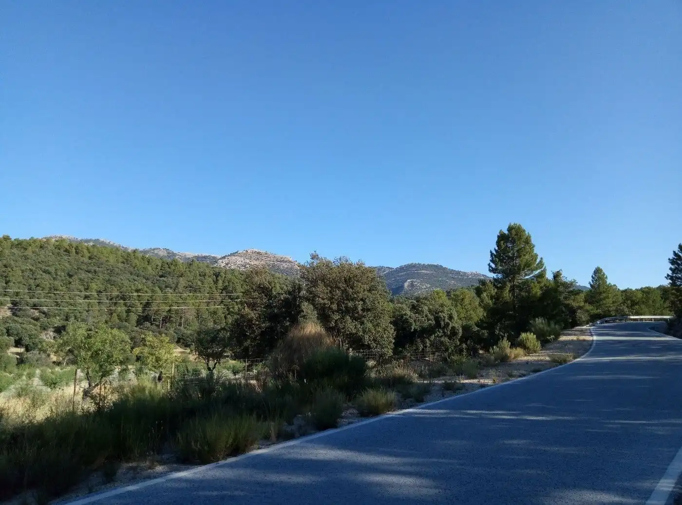 Terreni e lotti in vendita a Huéscar, imagen 64