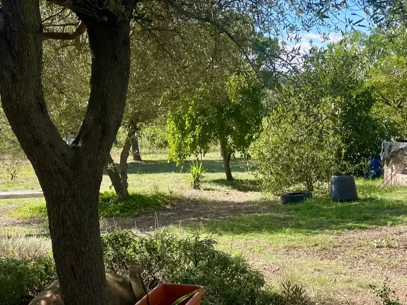 Casa rústica con jardín en venta en Carrer Figueres 24, imagen 10