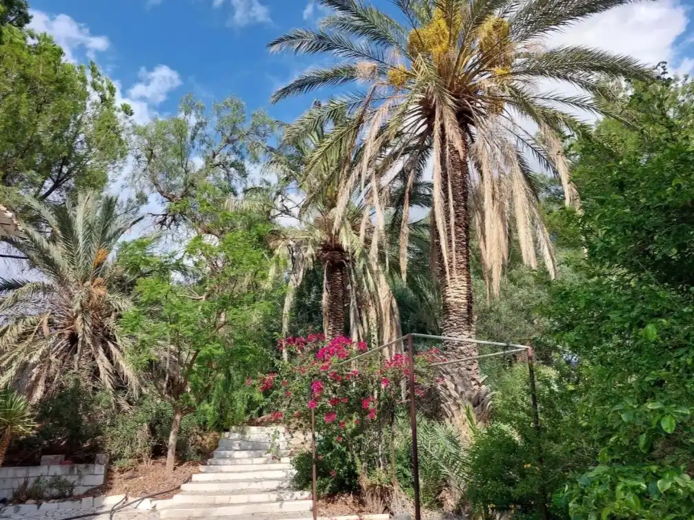 Jardín de Finca rústica en venta en Partaloa, Almería