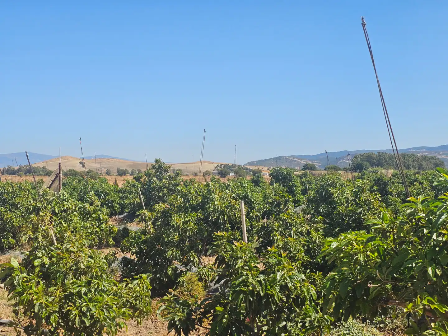 Terreno rustico in vendita a Benalup-Casas Viejas, imagen 12