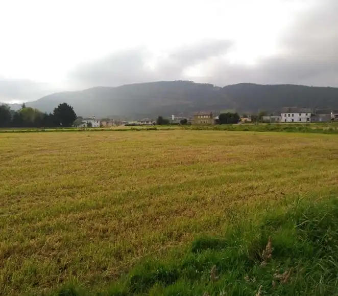 Terreny rústic en venda a LUGAR ALMUÑA (SUR/P-R-L-02), DENOMINADO SECTOR 2, imagen 5